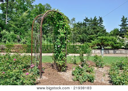 Blommig Arch