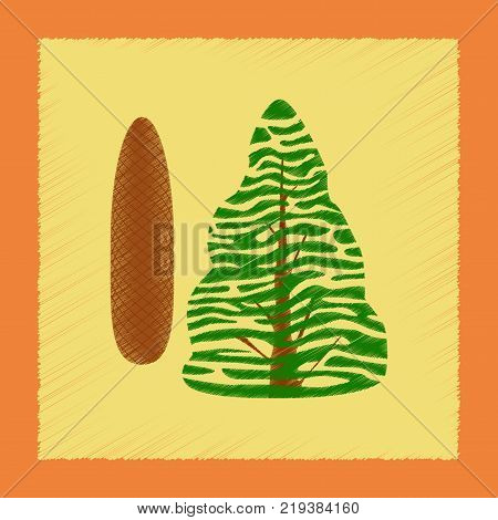 flat shading style Illustrations of plant Picea