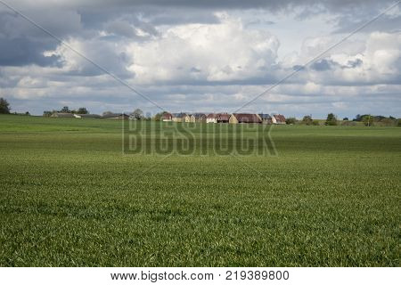View across a farmers field with a young crop crowing in the foreground and a group of new houses in the distance