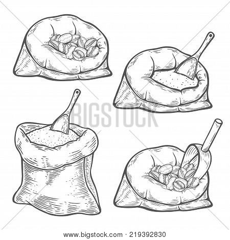 Set of Hand drawn Bags with coffee beans grains and flour with metallic scoop. Hand drawn sketch style. Vintage vector engraving illustration for label, web. Isolated on white background