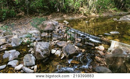 Small mountain stream in the shade of the tropical forest with snag tree in the foreground Mu Koh Chang National Park, Thailand. View from the trail to the Khlong Phlu waterfall. Natural background.