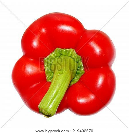 One bright red raw washed with green tail bulgarian pepper isolated on white background. Upper view
