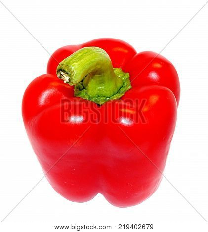 One bright red raw washed with green tail bulgarian pepper isolated on white background