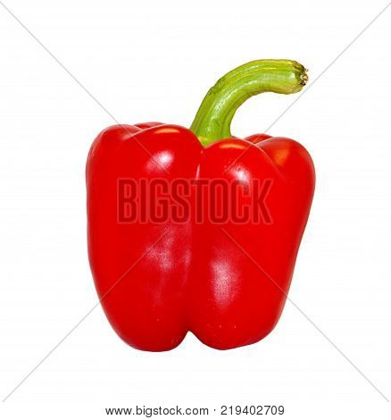 One bright red raw washed with green tail bulgarian pepper isolated on white background