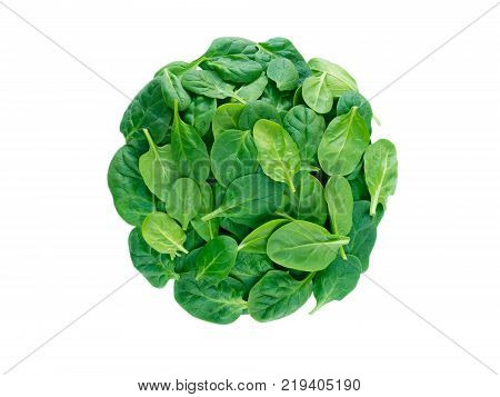 Round heap of green spinach leaves top view isolated on white
