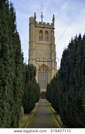 Yew Tree Lined path to All Saints Church, Martock, South Somerset