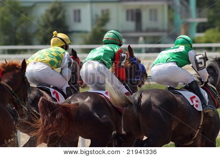 Horse Racing.