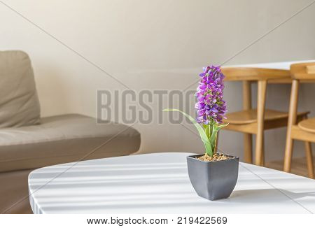 Artificial Flowers Or Arpophyllum In Small Pot