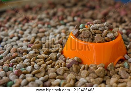 Orange plastic bowl filled with dry pet food surrounded by dry food for cat and dogs