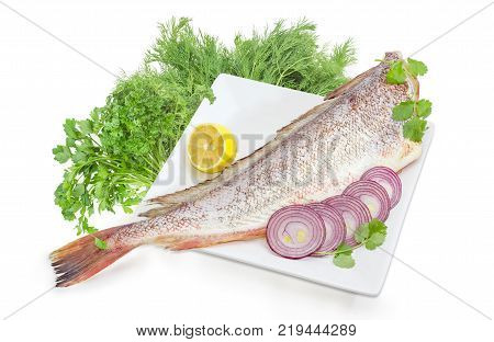Carcass of the uncooked red cod without head with cilantro twigs lemon sliced red onion on the large square white dish and bundles of the parsley and dill on a white background
