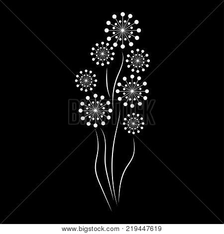 abstract white dandelions isolated on black background