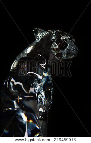 Glasses Colours Textured Cheetah studio light black background