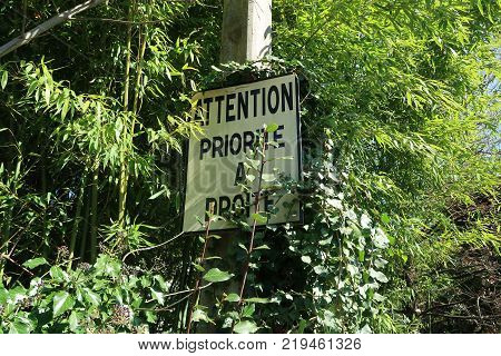 Road sign covered by vegetation in a street of Grenoble, France