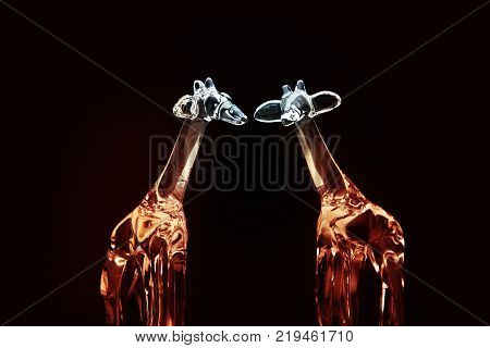 Glasses colours Giraffe studio light Black Background