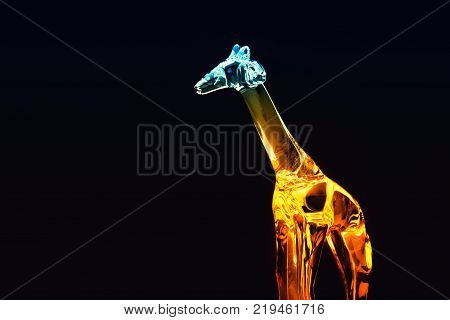 Glasses colours Giraffe studio light Black Background