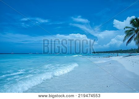 Travel photography - tropical white beach in a caribbean island (Saona island, Dominican Republic).