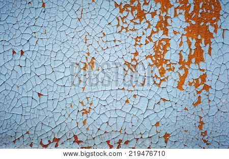 Wooden wall with blue paint is severely weathered and peeling. close up