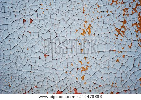 Wooden wall with blue paint is severely weathered and peeling. close up