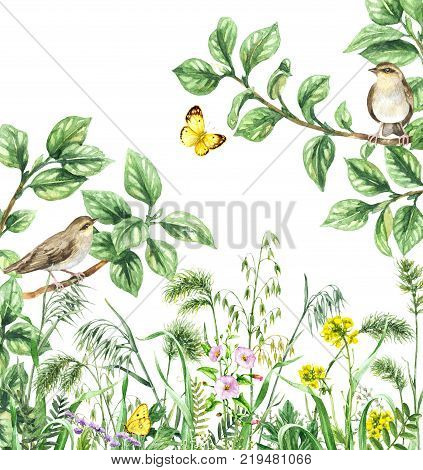 Watercolor painting. Hand drawn illustration. Green meadow with songbirds and insects. Aquarelle collage made with forest birds sitting on branches yellow butterflies and wildflowers.