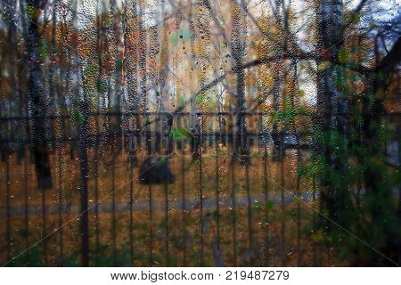 Autumn street on a rainy day view through wet glass