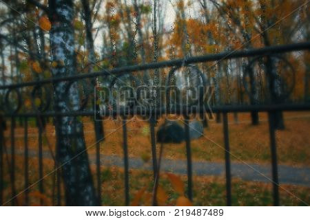 Autumn street on a rainy day view through wet glass