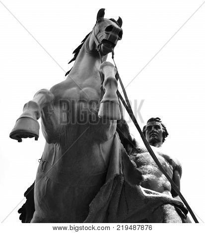Statue of the conquest of a horse on the Anichkov Bridge in St.Petersburg Russia. Black and white.