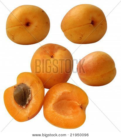 Aprikose