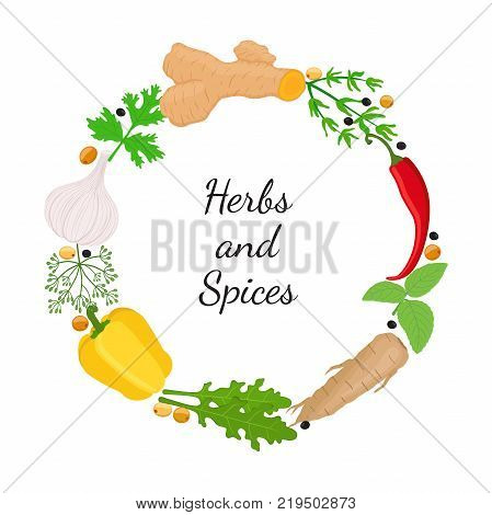 Hebs, spices - arugula, garlic, bell pepper, basil, thyme, chili pepper, turmeric root, dill, horse radish. Made in cartoon flat style. Vector illustration