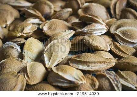 Many apricot kernels. Apricot bones lie on the table