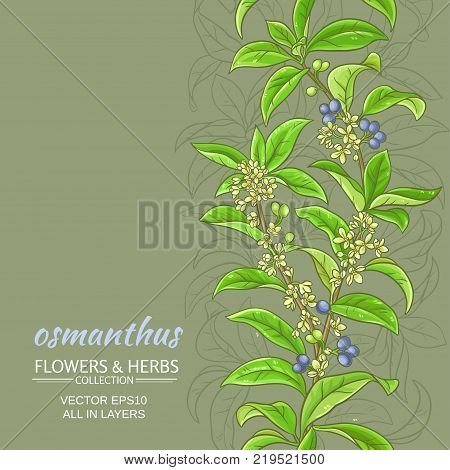 black rowan vector pattern on color background