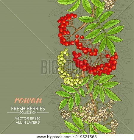 black rowan vector pattern on color background