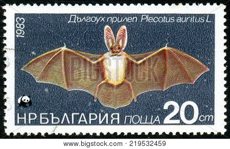Ukraine - circa 2017: A postage stamp printed in Bulgaria shows drawing Bat Brown long-eared Bat Plecotus auritus. Series: Flora and fauna. Circa 1983.
