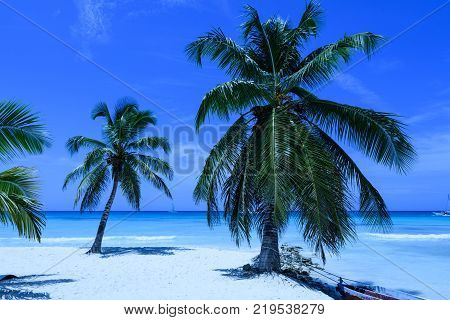 Travel photography - tropical beach with white sea and palms in a caribbean island (Saona island, Dominican Republic).
