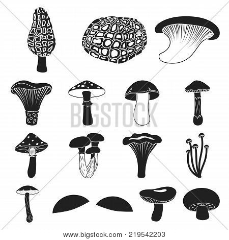 Poisonous and edible mushroom black icons in set collection for design. Different types of mushrooms vector symbol stock  illustration.
