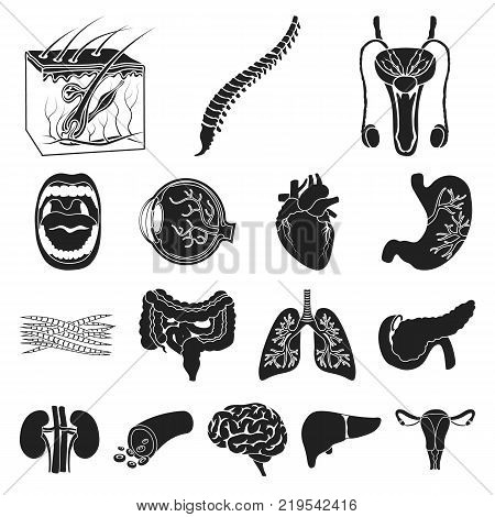 Internal organs of a human black icons in set collection for design. Anatomy and medicine vector symbol stock  illustration.