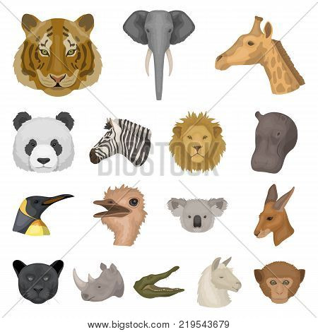 Wild animal cartoon icons in set collection for design. Mammal and bird vector symbol stock  illustration.