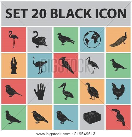 Types of birds black icons in set collection for design. Home and wild bird vector symbol stock  illustration.