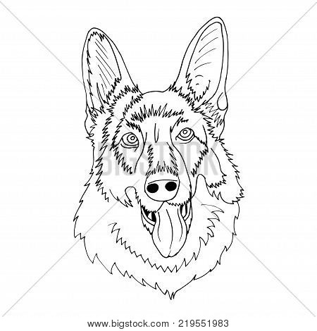happy smiling speepdog animal head with tongue