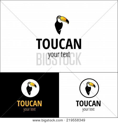 Toucan logotype brand name. Bird logo for company, business, travel. Child cartoon animal. Corporate identity for brasilia, south america, carnival. Cute tropical character, smile toucans