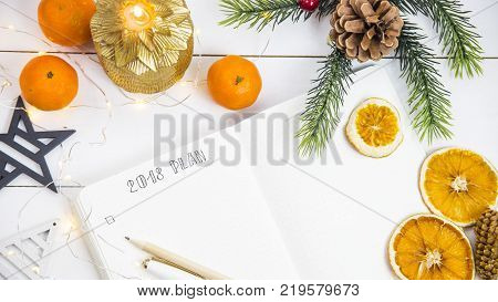 The setting of plans and goals for 2018 in the diary during the New Year holidays