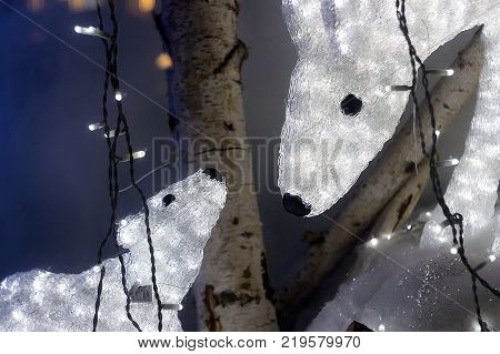 White bear and bird looking at each other