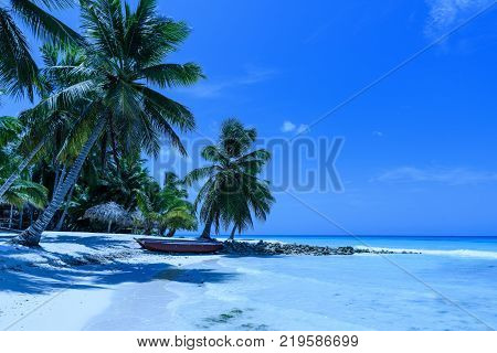 Travel photography - tropical beach with white sand and palms (Saona island, Dominican Republic).