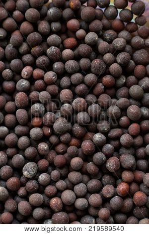 Close up photo of black mustard seeds