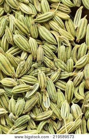 Macro photo of fennel seeds zoomed in