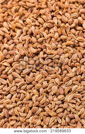 Close up of Ajwain seeds which is a spice often used as a home remedy to aid digestion.