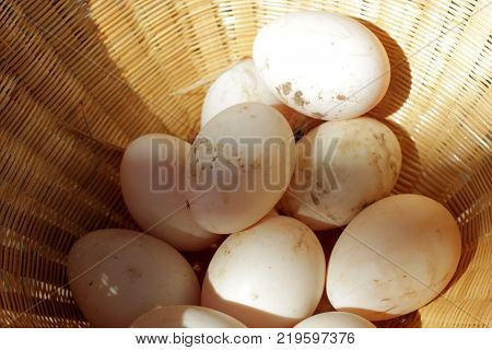 Thai Dessert Sweet Boiled Ball Covered With Grated Coconut