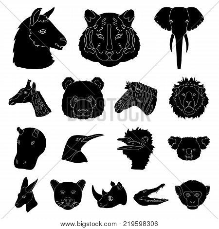Wild animal black icons in set collection for design. Mammal and bird vector symbol stock  illustration.