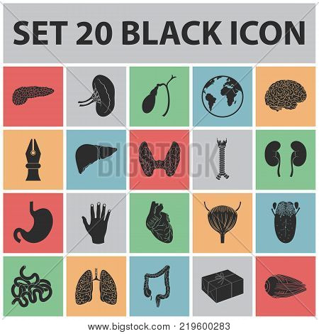 Human organs black icons in set collection for design. Anatomy and internal organs vector symbol stock  illustration.