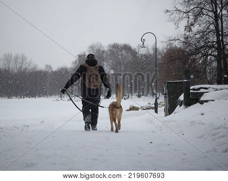 The owner and the dog go around the track. The snow falls