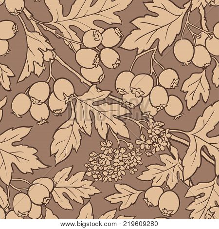 hawthorn plant vector pattern on color background